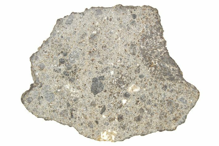 Howardite Meteorite (, g) Slice - From Vesta Minor-Planet #263230